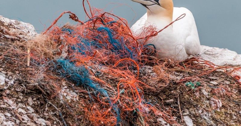 Bâche plastique : 7 usages malins qui vont vous surprendre